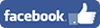 Siga PREMIER no Facebook Siga PREMIER no Facebook